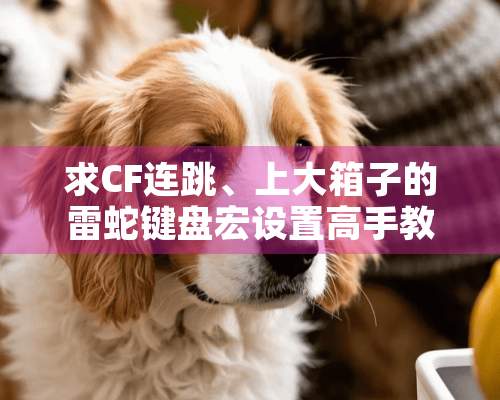 求CF连跳、上大箱子的雷蛇键盘宏设置高手教程截图最好。