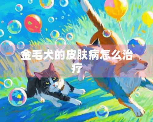 金毛犬的皮肤病怎么治疗