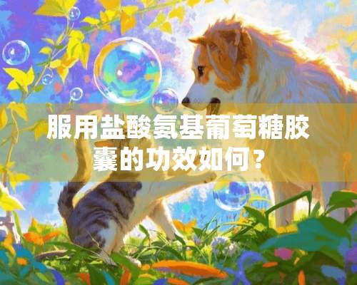 服用**氨基葡萄糖胶囊的功效如何？