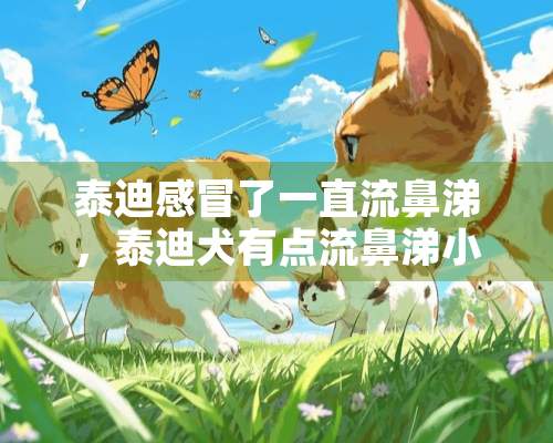 泰迪感冒了一直流鼻涕，泰迪犬有点流鼻涕小感冒