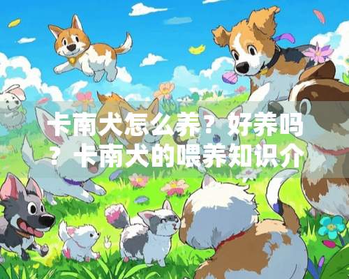 卡南犬怎么养？好养吗？卡南犬的喂养知识介绍！