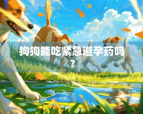 狗狗能吃紧急避孕药吗？