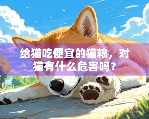 给猫吃便宜的猫粮，对猫有什么危害吗？