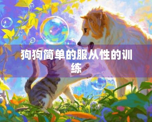 狗狗简单的服从性的训练