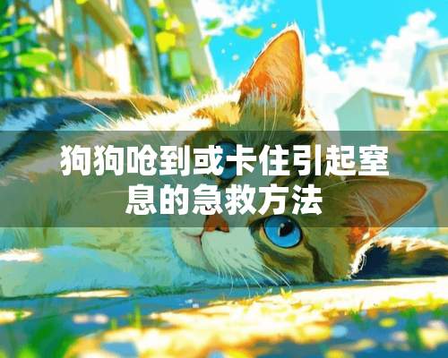 狗狗呛到或卡住引起窒息的急救方法