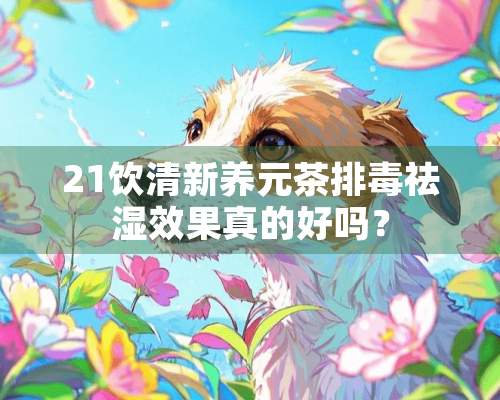 21饮清新养元茶排毒祛湿效果真的好吗？