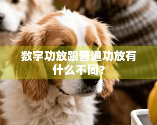 数字功放跟普通功放有什么不同？