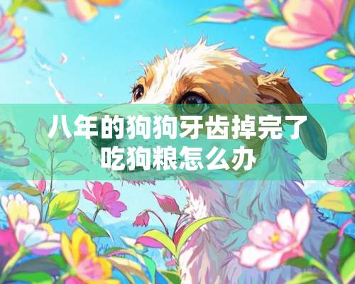 八年的狗狗牙齿掉完了吃狗粮怎么办