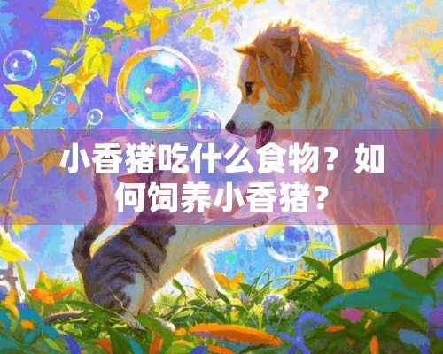 小香猪吃什么食物？如何饲养小香猪？