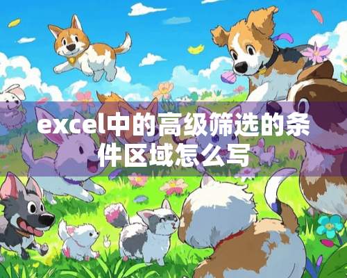 excel中的高级筛选的条件区域怎么写