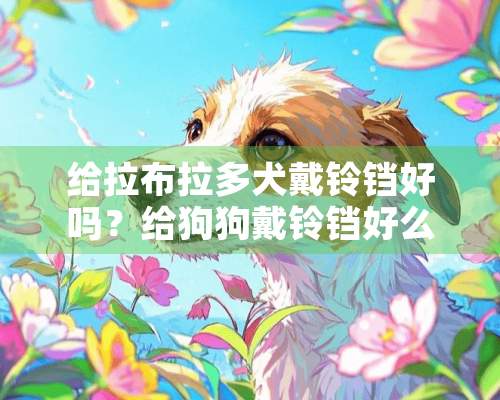 给拉布拉多犬戴铃铛好吗？给狗狗戴铃铛好么？