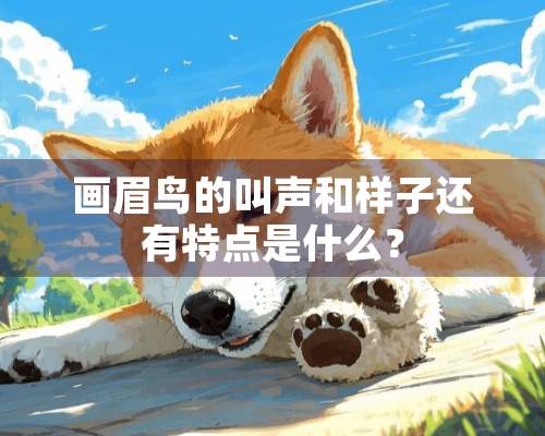 画眉鸟的叫声和样子还有特点是什么？