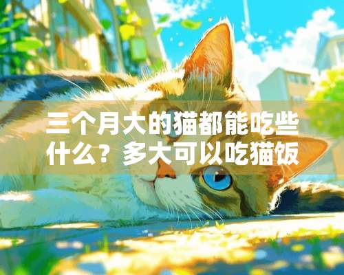 三个月大的猫都能吃些什么？多大可以吃猫饭和罐头？