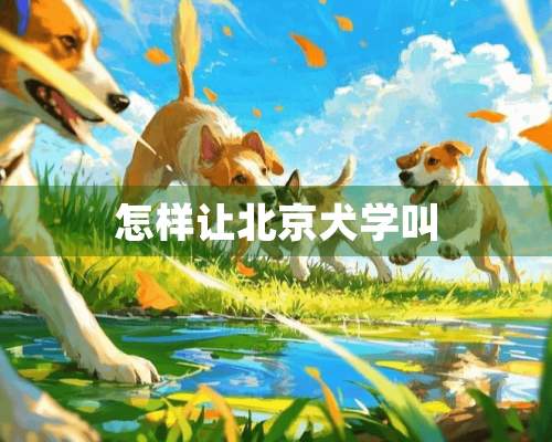 怎样让北京犬学叫