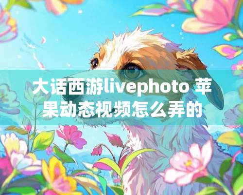 大话西游livephoto 苹果动态视频怎么弄的