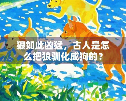 狼如此凶猛，古人是怎么把狼驯化成狗的？