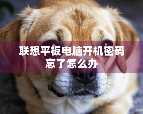 联想平板电脑开机密码忘了怎么办