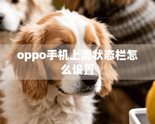 oppo手机上滑状态栏怎么设置