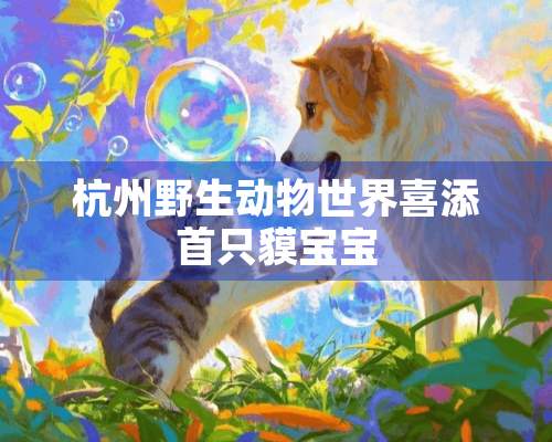 杭州野生动物世界喜添首只貘宝宝