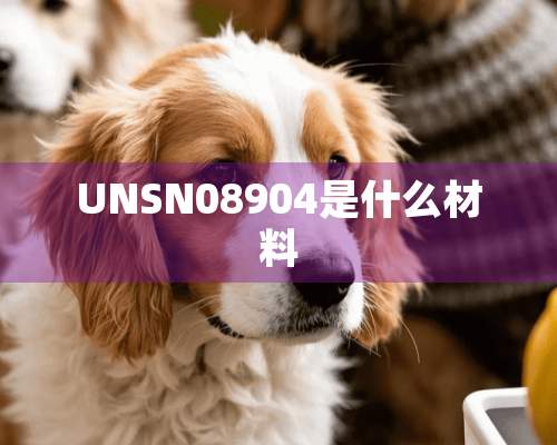 UNSN08904是什么材料