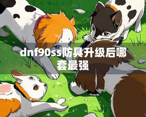 dnf90ss防具升级后哪套最强