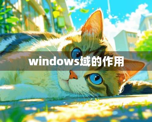 windows域的作用