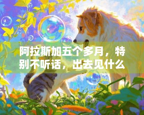 阿拉斯加五个多月，特别不听话，出去见什么捡什么吃，总自己**往门外边跑，是打他好，还是慢慢跟他讲啊