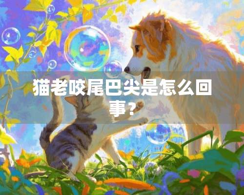 猫老咬尾巴尖是怎么回事？