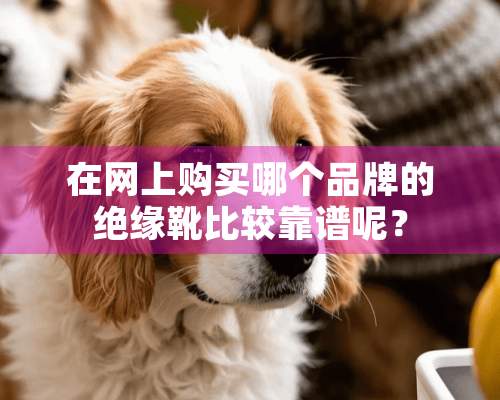 在网上购买哪个品牌的绝缘靴比较靠谱呢？