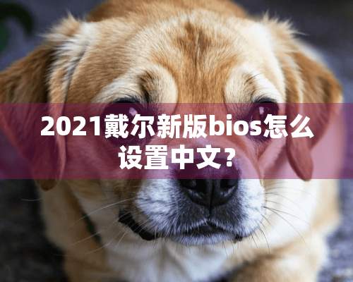 2021戴尔新版bios怎么设置中文？