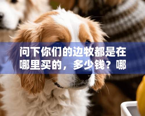 问下你们的边牧都是在哪里买的，多少钱？哪家犬舍比较好？以后想买一只蓝陨石边牧，先找好点，我是昆明的