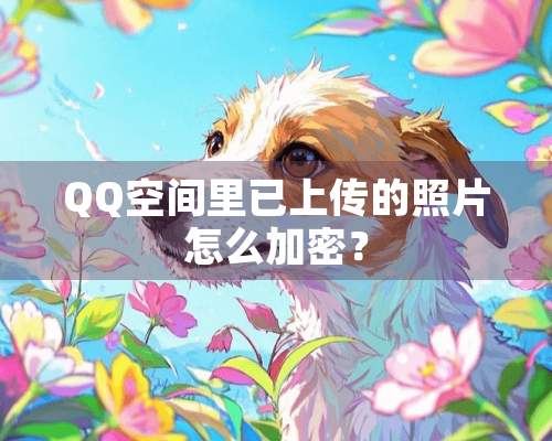 QQ空间里已上传的照片怎么加密？