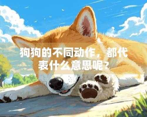 狗狗的不同动作，都代表什么意思呢？