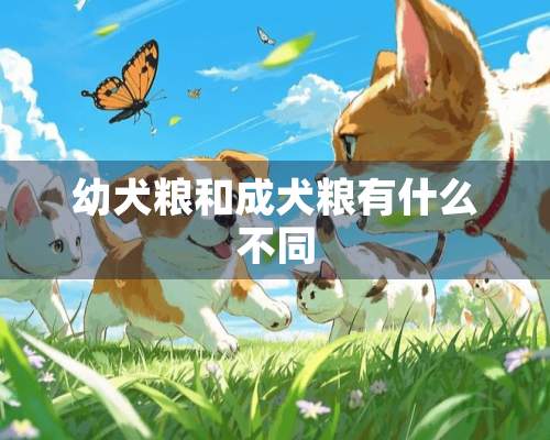 幼犬粮和成犬粮有什么不同