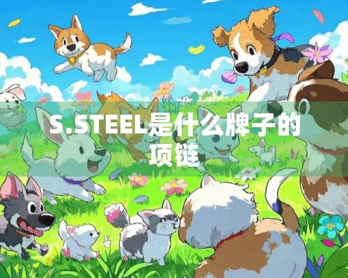 S.STEEL是什么牌子的项链