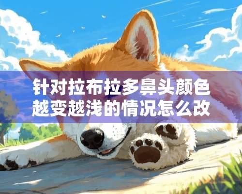 针对拉布拉多鼻头颜色越变越浅的情况怎么改善