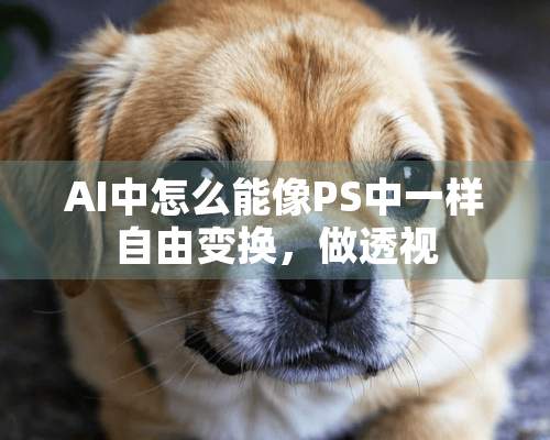 AI中怎么能像PS中一样自由变换，做**