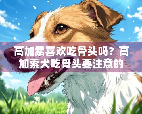 高加索喜欢吃骨头吗？高加索犬吃骨头要注意的