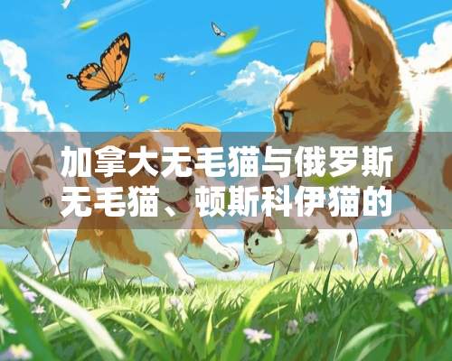 加拿大无毛猫与俄罗斯无毛猫、顿斯科伊猫的区别