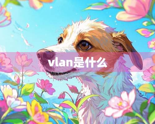 vlan是什么