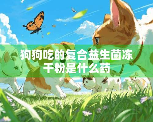 狗狗吃的复合益生菌***是什么药