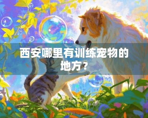 西安哪里有训练宠物的地方？