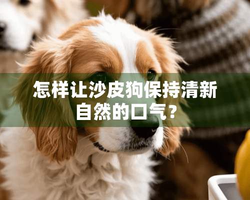 怎样让沙皮狗保持清新自然的口气？