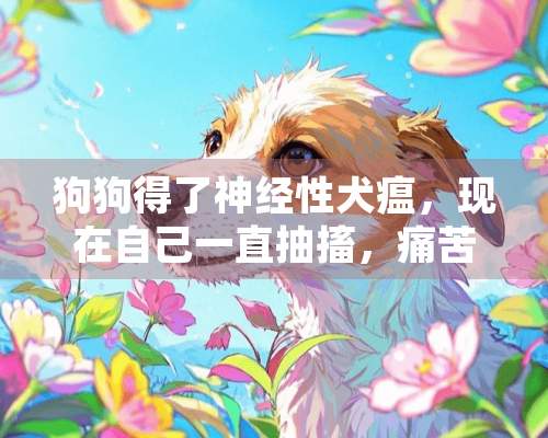 狗狗得了神经性犬瘟，现在自己一直抽搐，痛苦的一直叫，站着也难！谁能告诉我有什么特效药，让他不要这么