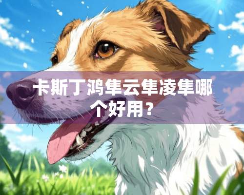 卡斯丁鸿隼云隼凌隼哪个好用？