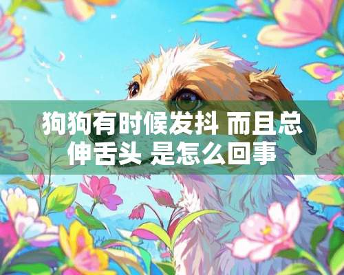 狗狗有时候发抖 而且总伸舌头 是怎么回事