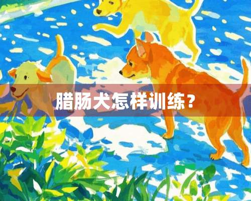 腊肠犬怎样训练？