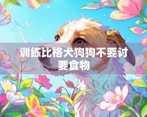 训练比格犬狗狗不要讨要食物