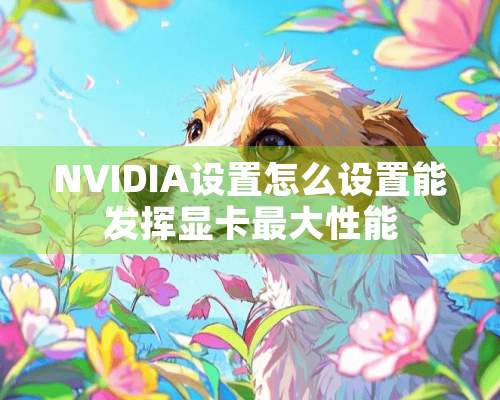 NVIDIA设置怎么设置能发挥显卡最大性能