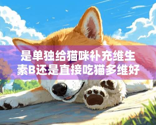 是单独给猫咪补充维生素B还是直接吃猫**好？